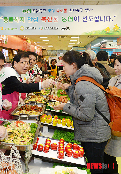 사진이 안보일 때→우측클릭→'사진보기' 클릭, OK. ☞작성: Daum카페: 한국 네티즌본부