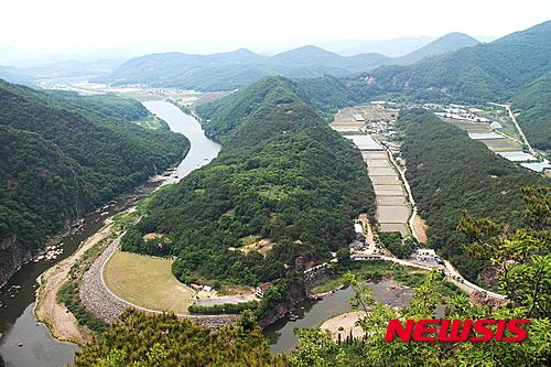 작성: 한국 네티즌본부