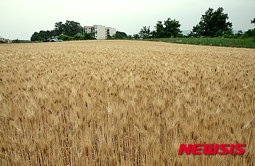 작성: 한국 네티즌본부