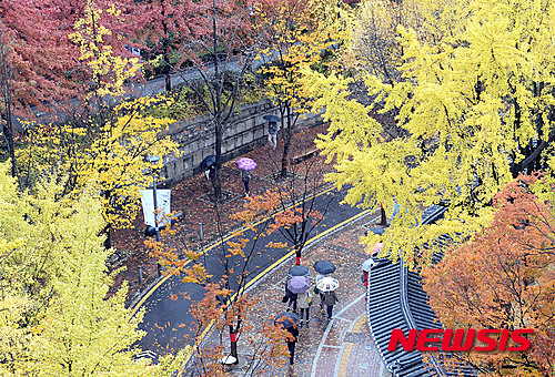 작성: 한국 네티즌본부