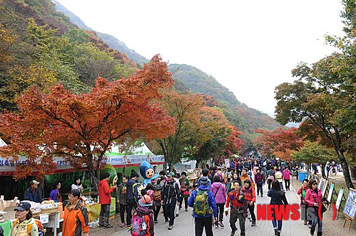 사진이 안보일 때→우측클릭→'사진보기' 클릭, OK. ☞작성: Daum카페: 한국 네티즌본부