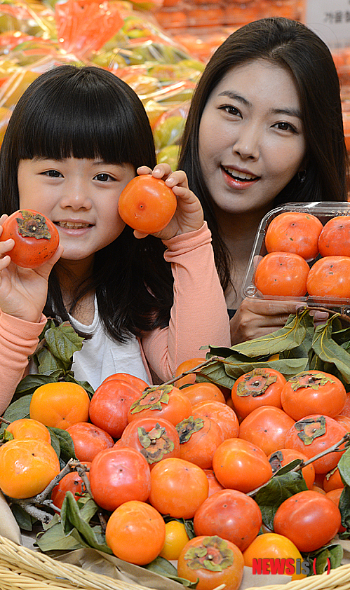 사진이 안보일 때→우측클릭→'사진보기' 클릭, OK. ☞작성: Daum카페: 한국 네티즌본부