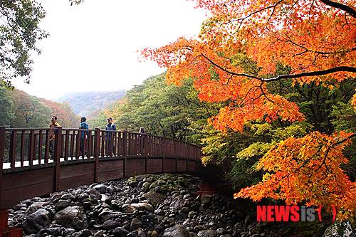 사진이 안보일 때→우측클릭→'사진보기' 클릭, OK. ☞작성: Daum카페: 한국 네티즌본부