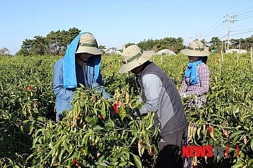 사진이 안보일 때→우측클릭→'사진보기' 클릭, OK. ☞작성: Daum카페: 한국 네티즌본부