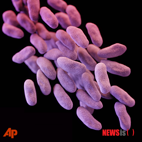 【AP/뉴시스】미국 질병통제센터(CDC)가 공개한 장내세균성 박테리아의 컴퓨터 그래픽 이미지. 유럽 전역에 걸친 연구 결과 긴급 항생제에 저항력을 갖춘 슈퍼 세균들이 확산되고 있다고 영국 BBC가 29일(현지시간) 보도했다.2019.7,30