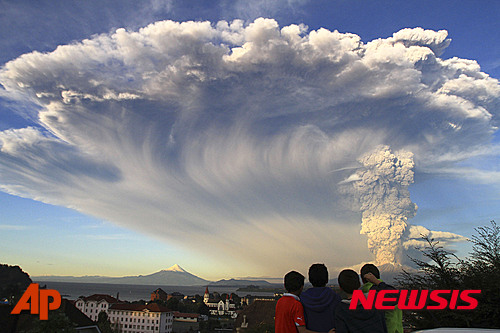 작성: 한국 네티즌본부