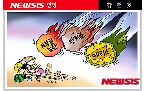 출처: 한국 네티즌본부, 카페