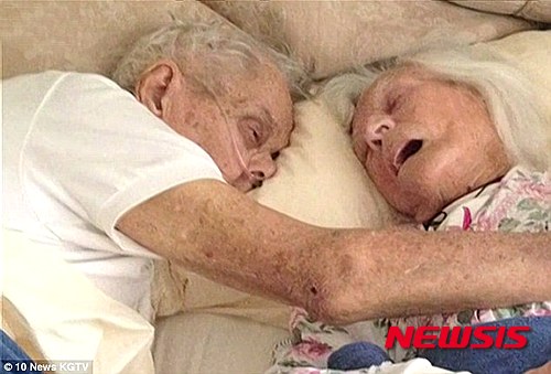 【서울=뉴시스】제넷 토츠코(96)와 알렉산더 토츠코(95)는 1940년 결혼한 이래 75년째 부부의 인연을 맺고 살았다. 그들은 이달 초 몇 시간 간격으로 사망했다. 이들 부부의 마지막 소원은 서로의 품에서 죽는 것이었다. 2015.07.03. (사진출처: 영국 데일리메일)