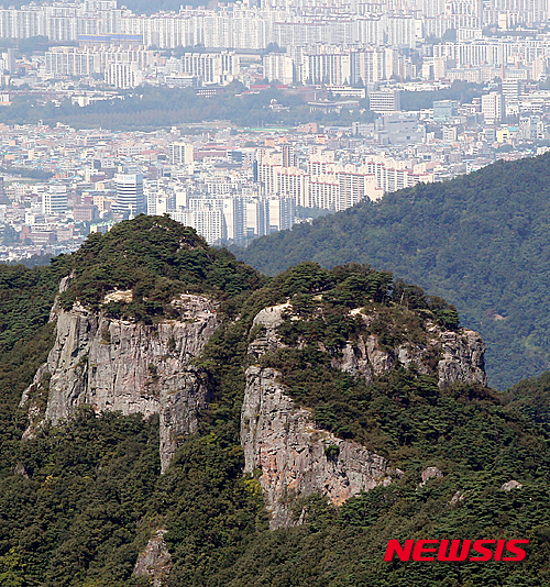 무등산버섯 이미지