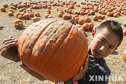 작성: 한국 네티즌본부