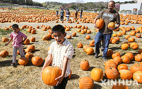 작성: 한국 네티즌본부