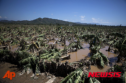 작성: 한국 네티즌본부