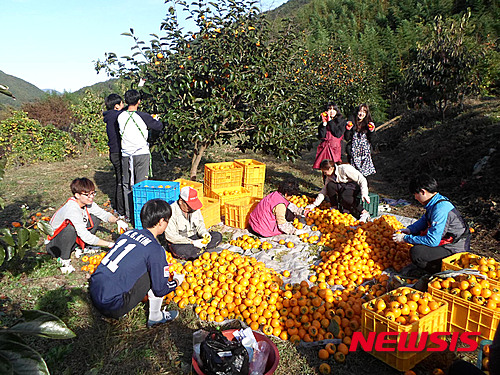 작성: 한국 네티즌본부