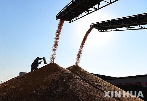 [올댓차이나]중국, 통상마찰 미국 견제차 브라질산 콩 수입 80%↑ 