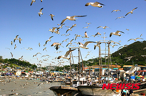 【영광=뉴시스】= 사진은 영광 법성포구에 정박 중인 조기잡이 배. 2019.05.21 (사진=뉴시스DB)