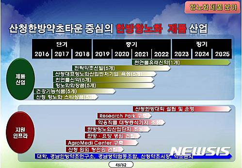 산청군 한방항노화 로드맵.