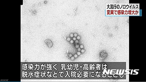 【서울=뉴시스】 일본 국립감염증연구소는 노로바이러스 유전자에 복수의 변화 일명 변종이 생긴 것을 발견해, 현재 유아 및 어린이를 중심으로 유행하는 노로바이러스가 성인으로 확산될 가능성이 있다고 밝혔다고 NHK가 21일 보도했다. (사진출처:NHK) 2016.12.21. 