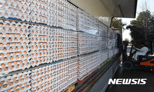 【안성=뉴시스】이정선 기자 = 농림축산식품부가 반출이 금지됐던 AI 발생지역 달걀 출하를 임시 허용한 28일 오후 경기 안성의 한 공터에 마련된 임시집하장에서 관계자들이 달걀을 옮겨 싣고 있다. 이날 안성시 공도읍에서 반출된 달걀의 양은 27만판(1판 30알) 가량이 출하되었다. 2016.12.28.  ppljs@newsis.com