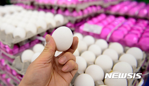 【서울=뉴시스】추상철 기자 = 미국산 흰달걀 시중판매가 시작된 22일 오전 서울의 한 중소형 마트에서 시민들이 30구 한판에 8950원에 판매되는 미국산 달걀을 구매하고 있다. 2017.01.22.  scchoo@newsis.com