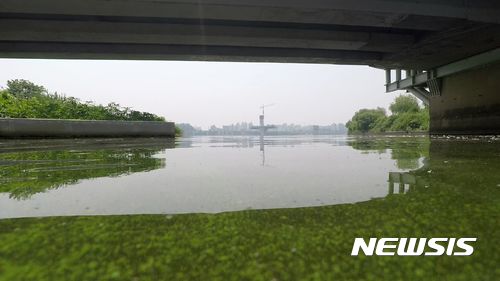 【서울=뉴시스】 <한강에서 올해 첫 녹조 발생>