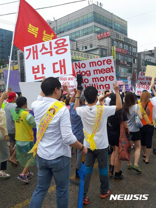 개 식용 반대 위령제…주말 서울 도심 집회 잇따라 