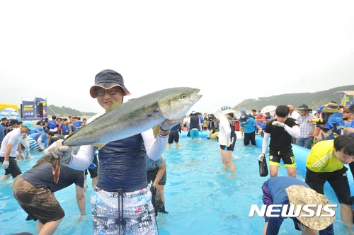 【울산=뉴시스】박일호 기자 = 22일 울산 동구 일산해수욕장 일원에서 '2017 울산조선해양축제'가 열리고 있는 가운데 관광객들이 방어잡기 행사를 즐기고 있다. 2017.07.22. (사진=울산 동구 제공) photo@newsis.com