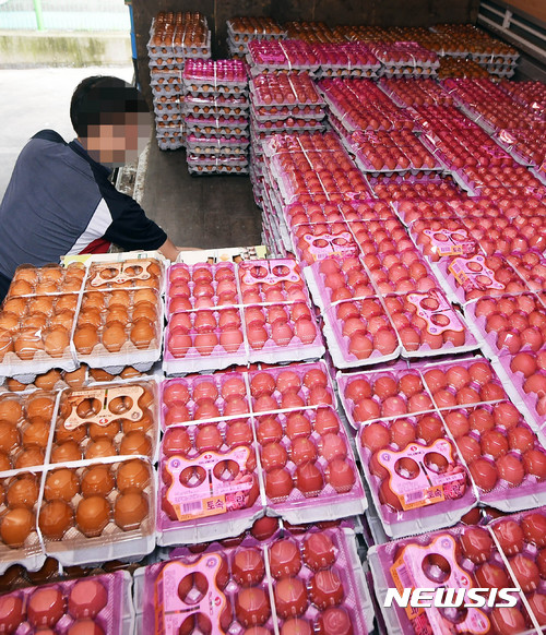 파동마트 이미지