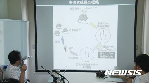 일본 교토대 연구팀, 무정자증 치료연구 발표(NHK 화면 캡처)
