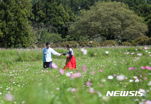 【세종=뉴시스】한국보건사회연구원의 '2018년 전국 출산력 및 가족보건·복지 실태조사'에 따르면 결혼 필요성에 대해 긍정적인 비율은 미혼남성이 50.5%, 미혼여성이 28.8%로 나타났다. 사진은 기사와 관련 없음. (사진=뉴시스DB) photo@newsis.com