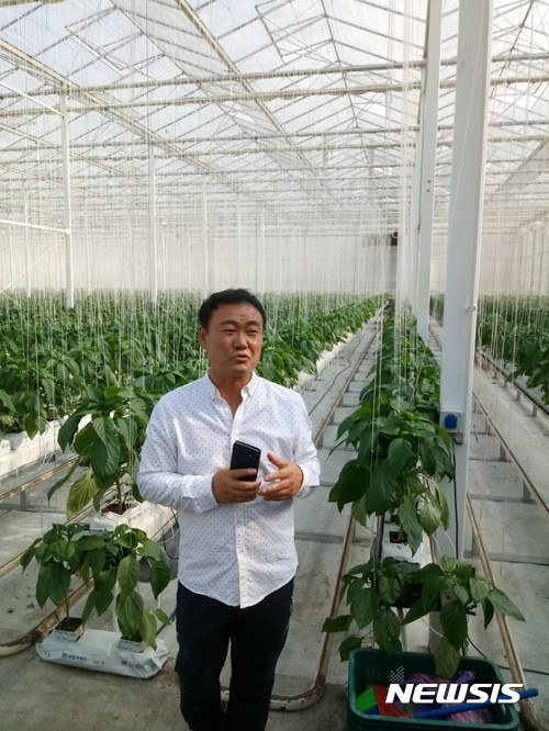 동양 최대 규모의 유리온실 파프리카 농장에서 포즈를 취한 김현복 회장. 이 유리 온실은 가로 200미터, 세로 200미터, 높이가 10미터에 달한다. 