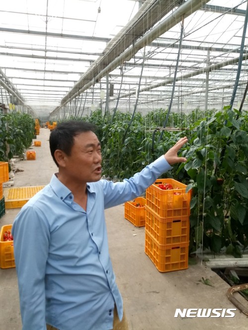 김현복 회장이 전남 장흥 천관산 기슭에 자리한 파프리카 농장에서 작황을 설명하고 있다.