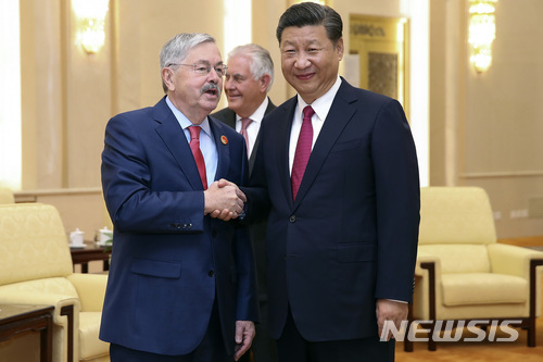 테리 브랜스태드 주중 대사가 베이징에서시진핑 중국 국가주석과 만나 악수를 하고 있다.