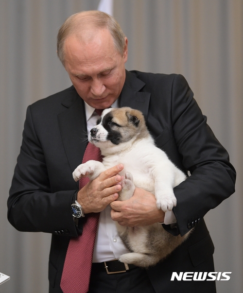 【소치=AP/뉴시스】블라디미르 푸틴 러시아 대통령이 11일(현지시간)소치에서 투르크메니스탄의 구르반굴리 베르디무하메도프 대통령으로부터 강아지를 선물받아 안고 있다. 2017.10.12