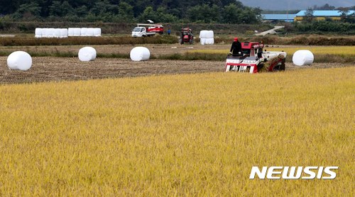 경기도 안성시 대덕면 신령리 농가에서 콤바인을 이용해 벼 수확을 하고 있다. 뉴시스 사진자료