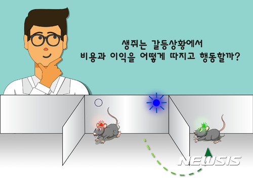 【대전=뉴시스】 IBS 연구팀이 설계한 생쥐 동물 실험 모식도. 