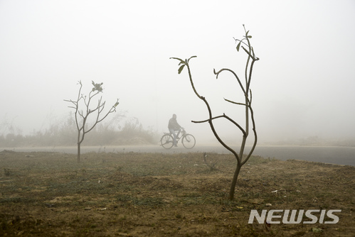 【뉴델리=AP/뉴시스】 인도 수도 뉴델리에서 2일 사흘째 이어진 짙은 안개로 항공기 결항과 열차 연착 등 차질이 발생하고 있다. 인도 남성이 지난 1일 뉴델리에서 자전거를 타고 있다. 2018.01.02.