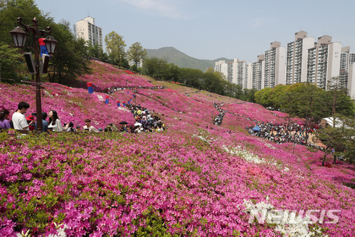 군포 철쭉동산