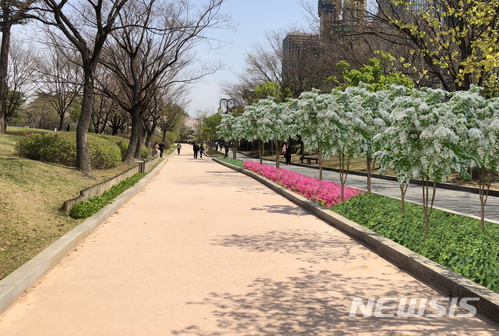 여의도공원에 꽃·나무 938주 심는다…서울시-중국건설은행
