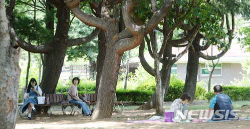 【전주=뉴시스】 김얼 기자 = 15일 전북 전주시 덕진구 덕진공원에서 시민들이 나무그늘 아래서 더위를 피하고 있다. 2018.06.15pmkeul@newsis.com