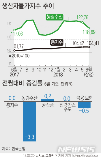【서울=뉴시스】안지혜 기자 = 한국은행이 20일 발표한 '6월 생산자물가지수'에 따르면 지난달 생산자물가는 104.41(2010=100기준)으로 전월과 같은 수준을 유지했다. hokma@newsis.com