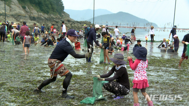 【완도=뉴시스】구길용 기자 = 전남 완도군은 27일부터 29일까지 노화와 약산 등 섬마을 곳곳에서 개매기·전복잡이 체험행사가 펼쳐진다고 25일 밝혔다. 2018.07.25. (사진=완도군 제공) kykoo1@newsis.com 