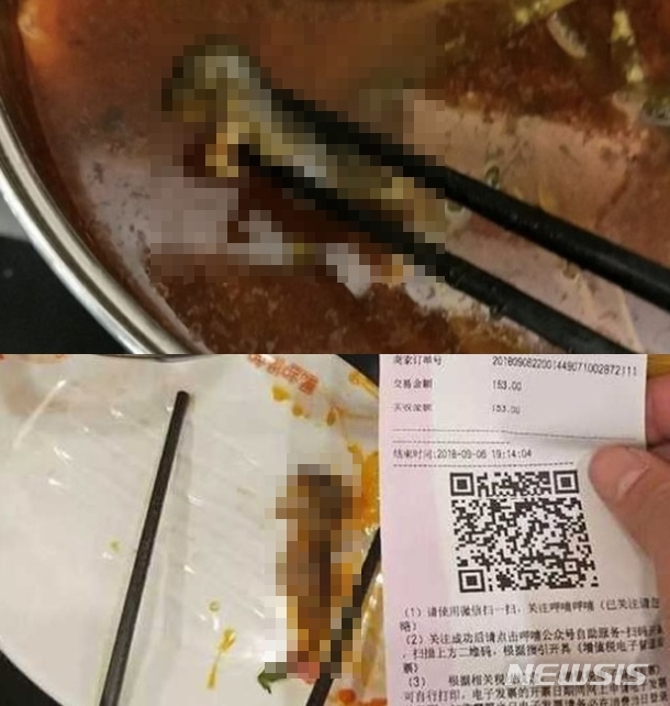 【서울=뉴시스】 중국의 한 유명 식당 체인점에서 임산부가 탕 속 죽은 쥐를 발견하면서 논란이 됐다. 해당 체인점은 주가 폭락 등을 포함해 총 190만 달러(약 21억3000만원)의 손해를 입었다. 12일(현지시간) BBC 등에 따르면 전날 '죽은 쥐' 사진이 온라인을 통해 공개된 후 중국 유명 샤브샤브 체인점 주가는 역대 최저점을 찍었다. (사진 출처 = 피해자 마씨 웨이보)