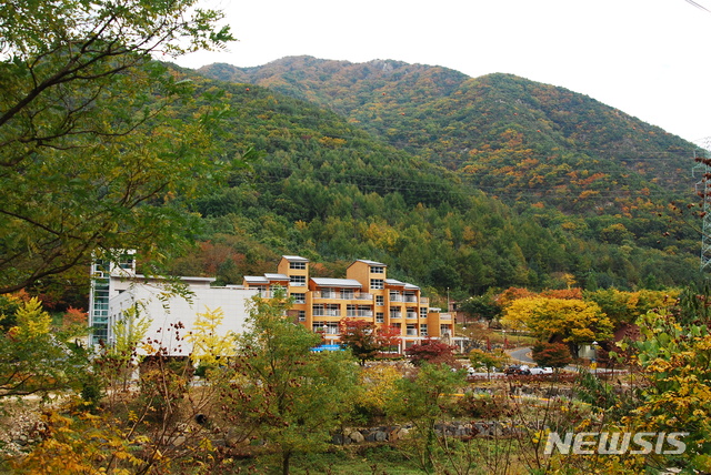 【옥천=뉴시스】충북 옥천 장령산자연휴양림 전경.(사진=뉴시스 DB) photo@newsis.com