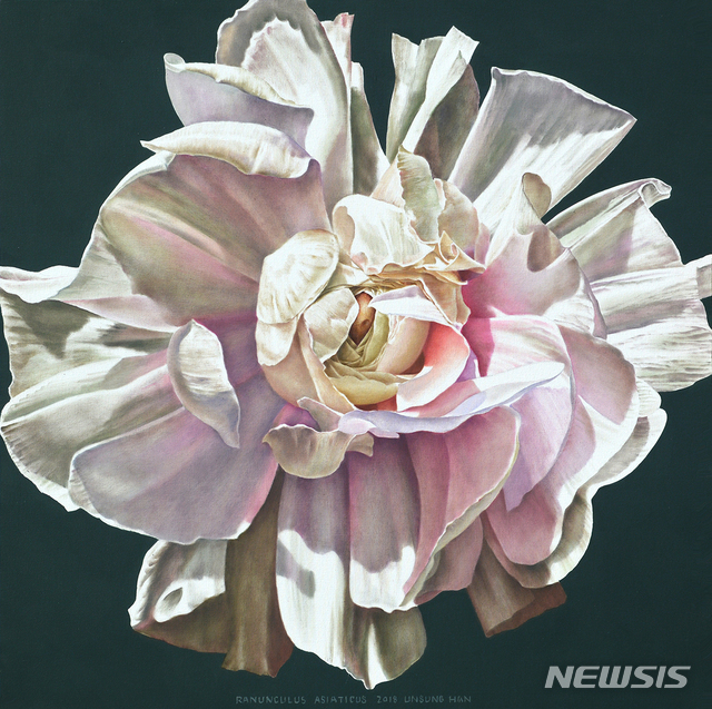 【서울=뉴시스】 한운성, 라넌큘러스,Ranunculus Asiaticus,Oil on Canvas, 130x130cm, 2018