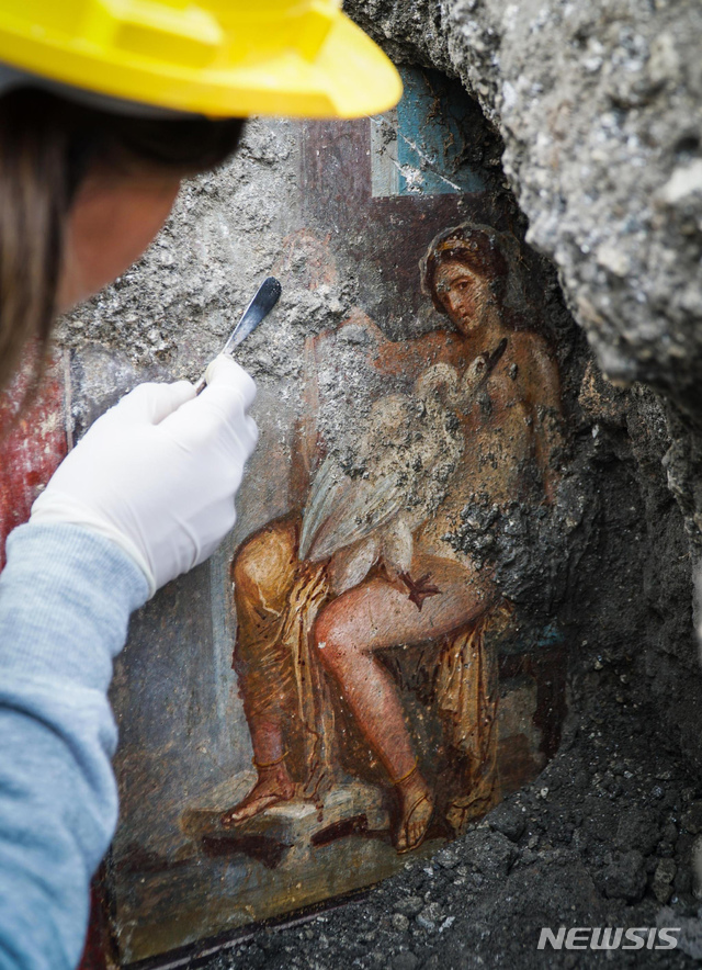 【폼페이=AP/뉴시스】 19일(현지시간) 이탈리아 ANSA 뉴스통신에 따르면 폼페이 유적지 한 주택의 침실에서 백조 형상을 한 제우스 신이 스파르타 여왕 레다를 임신시키는 장면을 묘사한 벽화가 발견됐다. 사진은 폼페이에서 19일 고고학자가 '백조와 레다' 프레스코화 위의 흙을 붓으로 조심스럽게 털어내고 있는 모습. 2018.11.20 