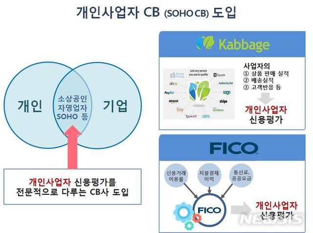 【서울=뉴시스】개인사업자 CB 도입 관련 인포그래픽. (자료=금융위원회 제공)