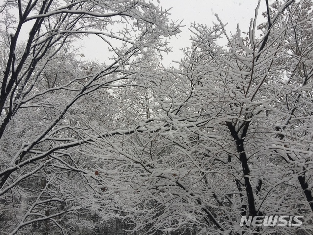 오늘 눈 온다…영남·강원 대설특보 가능성