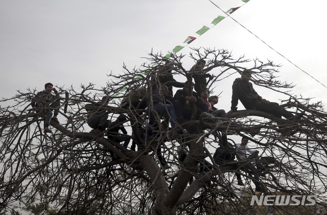 【가자지구 = AP/뉴시스】 가자지구에서 열린 12월 16일의 하마스 창설 31주년 대규모 집회에서 사람들이 나무에 올라가 군대 사열을 구경하고 있다.  