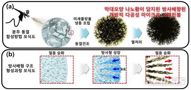 【서울=뉴시스】막대모양 황이 담지된 그래핀볼 복합체 조립 과정. (a) 분무 동결 합성방법을 통해 만들어진 막대모양 황이 담지된 방사배향된 개방형 다공성 마이크로 그래핀볼 합성방법 모식도이다.(b) 급속 냉동과정에서 물방울 바깥에서 안쪽으로 방사형태로 얼음주형이 형성되고, 이후 동결건조 과정을 거쳐 얼음을 승화시킴으로써 방사형태의 그래핀볼 구조가 형성된다.(사진/한국연구재단 제공) photo@newsis.com