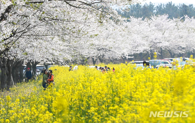 제주 서귀포시 표선면 가시리 조랑말체험공원